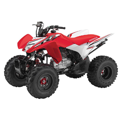 Honda TRX 250